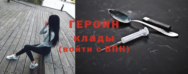 прущие грибы Пересвет