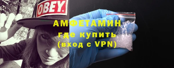 прущие грибы Пересвет