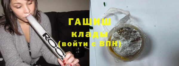 прущие грибы Пересвет