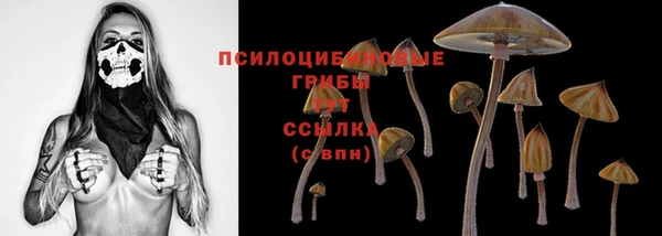 прущие грибы Пересвет