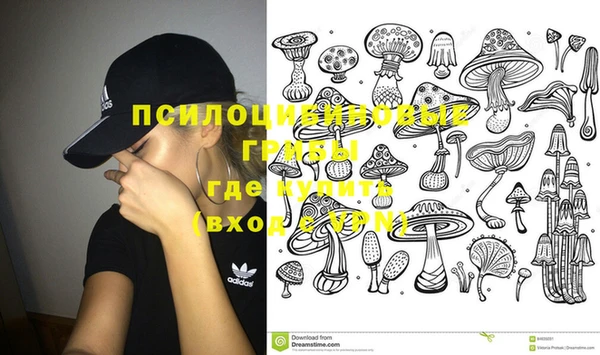 таблы Пестово