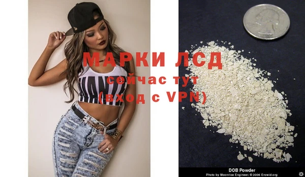 прущие грибы Пересвет