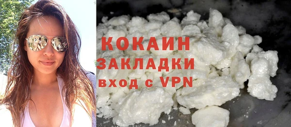 прущие грибы Пересвет