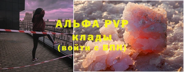 прущие грибы Пересвет