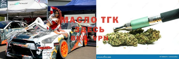 прущие грибы Пересвет